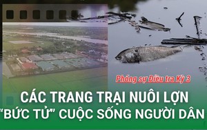 Để trại chăn nuôi xả chất thải gây ô nhiễm: Cứ "gõ " người đứng đầu địa phương xử lý? (Phóng sự 4) - Ảnh 2.