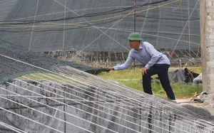 Diễn đàn Chủ tịch Hội NDVN- Bộ trưởng Bộ Tài nguyên và Môi trường Lắng nghe nông dân nói sẽ diễn ra vào ngày 15/11 - Ảnh 8.