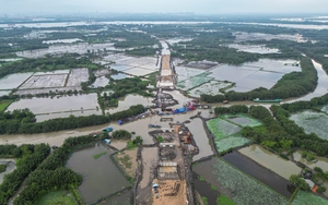 TP.HCM nói "còn gặp khó" sau một năm thực hiện Nghị quyết 98 - Ảnh 4.