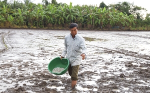 Sáng nay (10/11) diễn ra tọa đàm thuế VAT đối với mặt hàng phân bón: Vì lợi ích người nông dân- Ảnh 2.