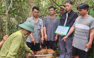 TIN NÓNG 24H QUA: “Phi công trẻ” đâm trọng thương người tình hơn 11 tuổi; tin mới vụ máy bay rơi - Ảnh 16.