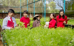 Quảng Ngãi: Chuyển đổi số - động lực thúc đẩy Sơn Tịnh phát triển toàn diện - Ảnh 7.