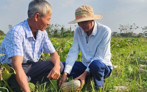 Quảng Ninh: Hội Nông dân TX Quảng Yên chia sẻ kinh nghiệm hòa giải ở cơ sở - Ảnh 3.