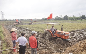 Sau bài báo về Bệnh viện Y học cổ truyền, Bí thư Tỉnh ủy Quảng Nam chỉ đạo gì? - Ảnh 3.