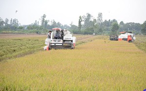 Lăng mộ ông vua thứ 9 vương triều nhà Nguyễn ở một làng của Huế, xung quanh là mộ của ai? - Ảnh 8.