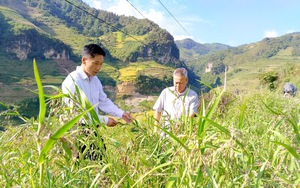 Lăng mộ ông vua thứ 9 vương triều nhà Nguyễn ở một làng của Huế, xung quanh là mộ của ai? - Ảnh 15.