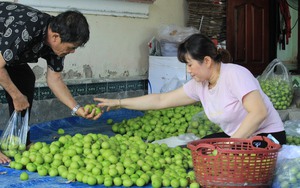 Khánh Hòa: Thu ngân sách nhà nước ước đạt 20.073 tỷ đồng - Ảnh 4.