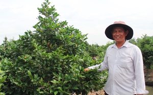 Hội Nông dân tỉnh Thái Nguyên tổng kết công tác hội và phong trào nông dân năm 2024 - Ảnh 4.