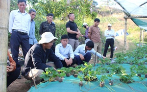 TT-Huế: Nông dân huyện Phong Điền góp hơn 7 tỷ đồng, hiến 26.984m2 đất xây dựng nông thôn mới - Ảnh 4.