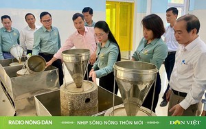 Nhịp sống nông thôn mới ngày 23/12/2024 - Ảnh 3.