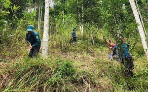 Cháy lớn ở núi Phật Tích, lửa bùng phát cả khu rừng thuộc huyện Tiên Du, Bắc Ninh- Ảnh 5.