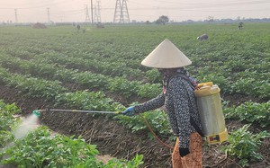 NÓNG: Đêm nay, miền Bắc đón không khí lạnh tăng cường, trời rét ngọt, Hà Nội nhiệt độ hạ thấp - Ảnh 6.