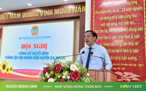 Nhịp sống nông thôn mới ngày 23/12/2024 - Ảnh 2.