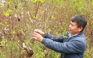 Tự xưng cán bộ địa chính để nhận làm Sổ đỏ, chiếm đoạt gần 1 tỷ đồng - Ảnh 7.