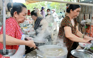 Nâng cao năng suất và chất lượng gỗ rừng trồng: "Chìa khóa" ở khâu chọn giống  - Ảnh 7.