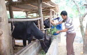 Phù Yên: Thành lập thị trấn Quang Huy với quy mô dân số trên 23.150 người - Ảnh 7.