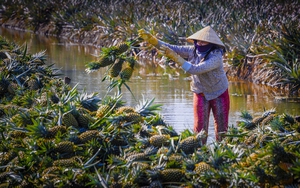 Bộ trưởng, Chủ nhiệm Uỷ ban Dân tộc Hầu A Lềnh đề nghị quan tâm hộ nghèo, đồng bào DTTS - Ảnh 7.