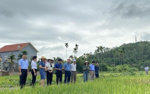 Bộ trưởng, Chủ nhiệm Uỷ ban Dân tộc Hầu A Lềnh đề nghị quan tâm hộ nghèo, đồng bào DTTS - Ảnh 5.