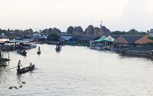 Nơi rừng Măng Đen nổi tiếng Kon Tum, chim hoang dã đậu trên cây mai anh đào hút mật ngọt - Ảnh 8.