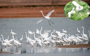 Thống nhất tên gọi Bộ Nông nghiệp và Môi trường sau hợp nhất hai Bộ NNPTNT và Bộ TNMT - Ảnh 7.