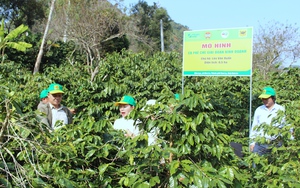 Hô trợ hàng chục tấn phân bón cho hội viên nông dân phát triển sản xuất - Ảnh 7.