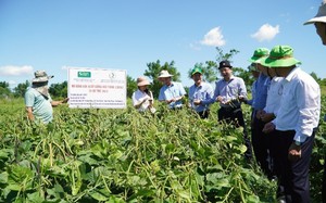 Vô khu rừng rộng nhất Đồng Nai, bò tót đứng hàng đàn, voi rừng đi giữa đường, vịt trời bay la liệt - Ảnh 14.