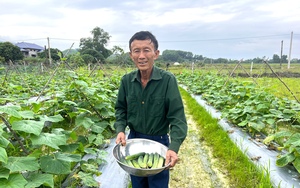 Tết này dân tình tha hồ lựa hàng OCOP Hà Tĩnh, có nước mắm ngon, cá biển, tôm to, mực khô - Ảnh 9.