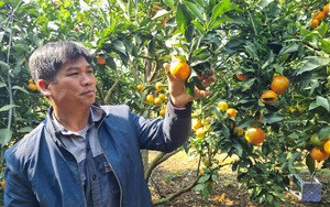 “Đòn bẩy” tạo động lực hoàn thành tiêu chí xây dựng nông thôn mới ở Thuận Châu - Ảnh 6.