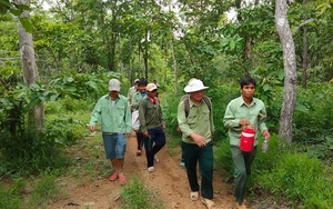 Chính phủ ban hành Chương trình hành động đột phá phát triển khoa học, công nghệ, đổi mới sáng tạo và chuyển đổi số- Ảnh 6.