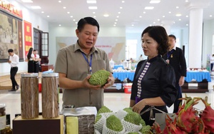 “Đòn bẩy” tạo động lực hoàn thành tiêu chí xây dựng nông thôn mới ở Thuận Châu - Ảnh 5.