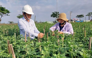 Hội Nông dân Đồng Nai vượt nhiều chỉ tiêu thi đua do Trung ương Hội NDVN giao - Ảnh 8.