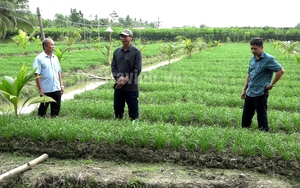 Hội Nông dân Việt Nam nghiệm thu, tổng kết mô hình thu gom, xử lý rác thải nông thôn tại tỉnh Nam Định - Ảnh 6.