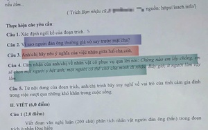 Đề thi Văn chọn học sinh giỏi Quốc gia 2024: Thí sinh vừa ra khỏi phòng, dư luận đã tranh cãi - Ảnh 2.