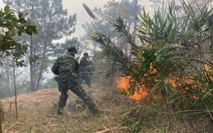 Cháy lớn ở núi Phật Tích, lửa bùng phát cả khu rừng thuộc huyện Tiên Du, Bắc Ninh- Ảnh 4.