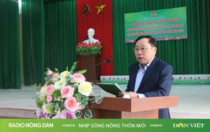 Nhịp sống nông thôn mới ngày 13/01/2025 - Ảnh 3.