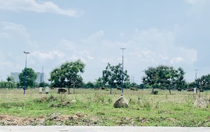 Năm 2025, điểm mấu chốt nào sẽ đưa phân khúc đất nền "thắng lớn"? - Ảnh 3.