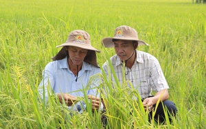 Thủ tướng Phạm Minh Chính "đặt hàng" ngành nông nghiệp hướng đến mục tiêu xuất khẩu nông sản 70 tỷ USD trong năm 2025 - Ảnh 4.