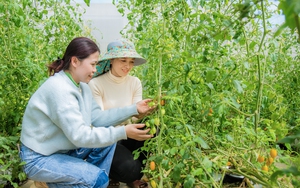 Nông nghiệp giúp Đắk Nông đạt thu nhập bình quân đầu người gần 82 triệu đồng - Ảnh 4.