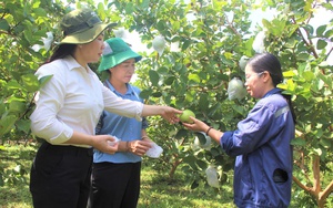 Công bố quyết định của Ban Thường vụ TP Huế về việc thành lập Hội Nông dân huyện Phú Lộc - Ảnh 5.