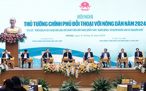 Liên tục tung ra sản phẩm mới, "ông lớn" ngành phân bón Supe Lâm Thao đạt doanh thu 3.580 tỷ đồng - Ảnh 5.