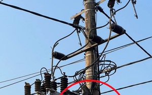 Vụ nam thanh niên ở Đắk Lắk đột nhập nhà người quen trộm một cây vàng dưới góc nhìn pháp lý- Ảnh 2.
