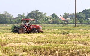 Phó Giám đốc Sở Giáo dục và đào tạo Thái Bình được điều động nhận chức vụ mới- Ảnh 5.