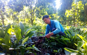 Đời sống người dân biên cương Hà Giang thay đổi tích cực nhờ Chương trình mục tiêu Quốc gia- Ảnh 7.