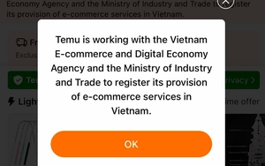 Chính thức đánh thuế hàng nhập dưới 1 triệu đồng từ Temu, Shopee... về Việt Nam- Ảnh 3.