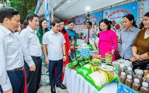 Hải Phòng: Ban QLDA quận Hồng Bàng lý giải nguyên nhân đá lát nền công viên đầu tư hàng chục tỷ đồng bị vỡ  - Ảnh 4.