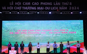 Thái Nguyên: Hơn chục héc ta rừng keo sản xuất của người dân bị cháy rụi chưa rõ nguyên nhân- Ảnh 10.