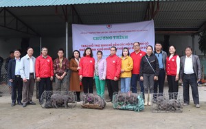 Cảm xúc của người dân thôn Kho Vàng, Nậm Tông (Lào Cai) trước ngày về nơi ở mới - Ảnh 12.