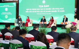 Thái Nguyên: Hơn chục héc ta rừng keo sản xuất của người dân bị cháy rụi chưa rõ nguyên nhân- Ảnh 6.