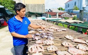 Một khu rừng ở Đồng Nai la liệt động vật hoang dã nằm trong sách Đỏ, nhện độc khổng lồ, gà rừng - Ảnh 19.