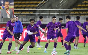 Sao nhập tịch của Singapore tại ASEAN Cup 2024: Từng khoác áo U18 Nhật Bản, chiều cao khiêm tốn - Ảnh 7.